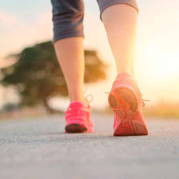 Invecchiare in salute: la camminata veloce rallenta i processi degenerativi e rafforza la cartilagine